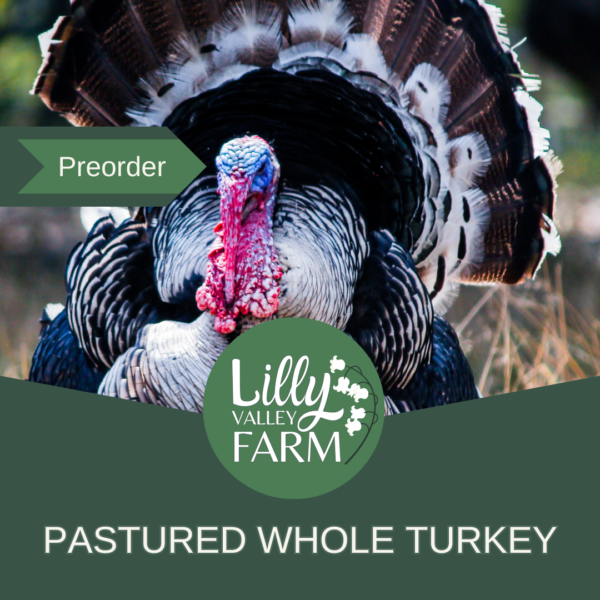 Pastured Turkey preorder at Lilly Valley Farm