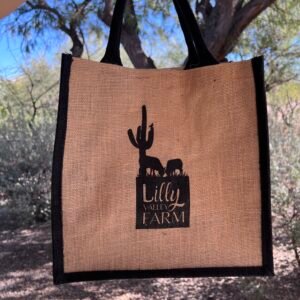 Burlap Gift Bag