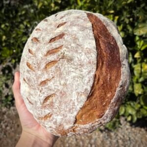 Sourdough Bread