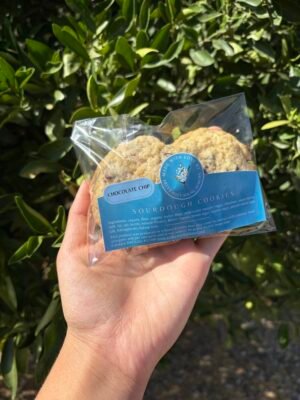 Cookies (Lilly Valley Young Makers)