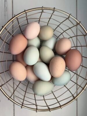 Cute eggs